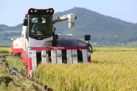 韩国“低碳农业”环保稻谷生产 报道